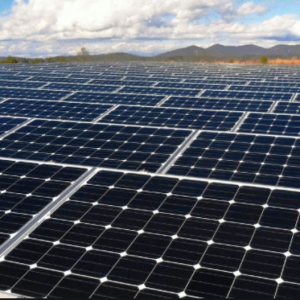 solar panels renewable